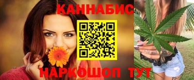 индика Будённовск