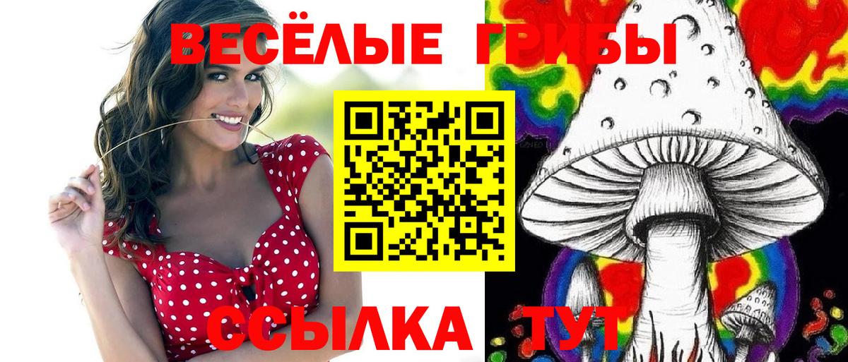 Псилоцибиновые грибы MAGIC MUSHROOMS Бор